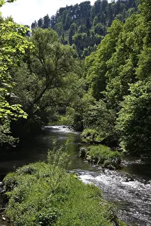 River Nagold in the Black Forest