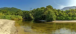 River through the rainforest flowing into Castelhaos beach on Ilhabela island in Sao Paulo
