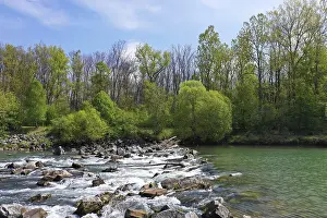 River with running water and surrounding trees and stones