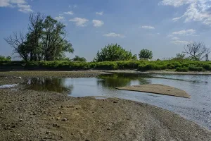 A river with a sandbank and surrounded by trees under a blue sky