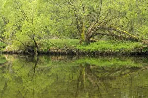 River Thaya, Thayatal National Park