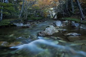 River in Tierra del Fuego, Argentina