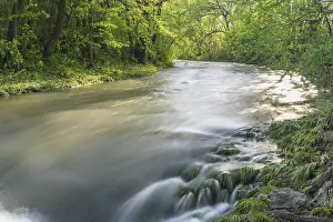 River Triesting, Vienna Forest