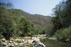 River valley in Puerto Vallarta, Mexico