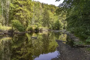 The River Wutach in the Wutach Gorge