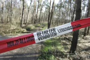 Road closed off due to logging activity