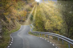 Road crossing an oak grove in autumn