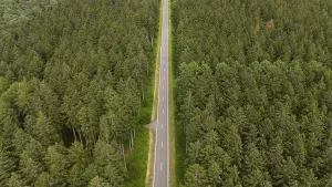 Road through forest, aerial view