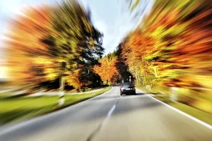 Road through a forest in autumn