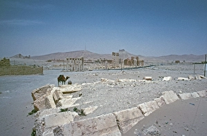 Road from Hadrian's Gate to the Temple of Bel, Colonnade, Palmyra, Syria, May 1987, vintage, retro, old, historical, Asia