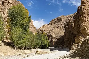 Road leading through a deep gorge