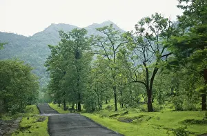 Road in monsoon, Asangaon Pivli
