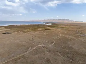 Road and off-road vehicle, Aerial view