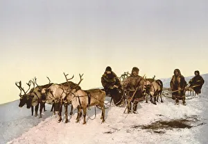 On the road with a reindeer sleigh