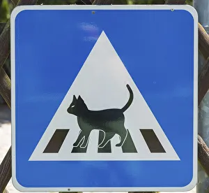 Road sign, crosswalk for cats, caution