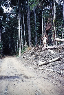 Road through tropical rainforest, Guyana, West Indies, South America, 1960 1961, then colony of British Guiana, South America