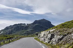 Road through tundra, back of Bitihorn Mountain