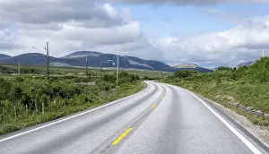 Road through tundra, country road