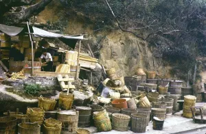 Roadside basket maker, Castle Peak