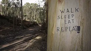 Roadside tree with the inscription Walk Sleep Eat Repeat in the forest