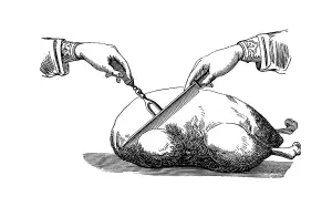 Roast goose, historical illustration from: Marie Susanne Kuebler: the household