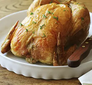 Whole roasted turkey on white plate