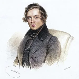 Robert Alexander Schumann (born 8 June 1810 in Zwickau)