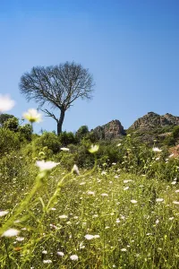 Rocher du roquebrune, Roquebrune-sur-Argens