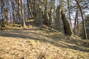 Rock formation in a sparse forest with sunlight