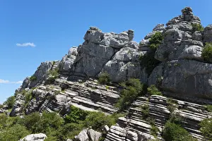 Rock layers and vegetation on a steep rock face under a bright blue sky
