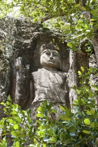Rock relief, Buddha figure behind green leaves