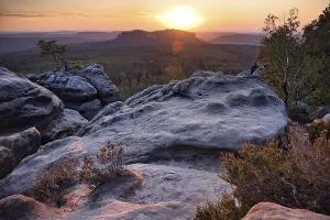 Rock with weathered pine in the sunset