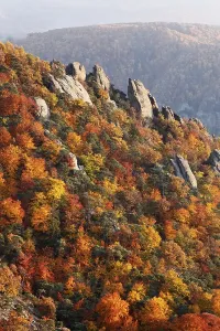 Rocks and autumnal mixed forest above Duernstein