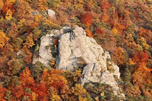 Rocks and autumnal mixed forest in the valley near Duernstein