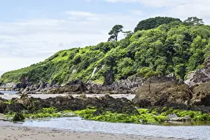 Rocks and Cliffs on Mothecombe Beach