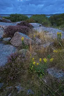 Rocks, coastline at Ramsvik, near Smoegen