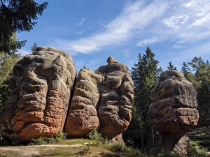Rocks in the forest, Kelchsteine
