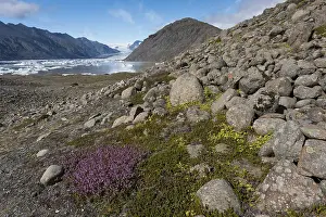 Rocks, glacial lake and glacier