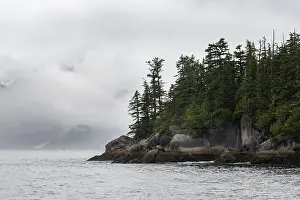 Rocky coast with coniferous forest