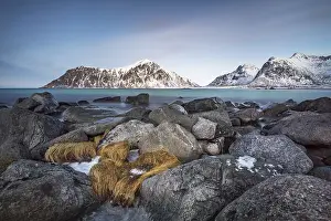 Rocky coast, mountains in the background
