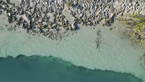 A rocky coast with its vegatation and inhabitants in Western Australia