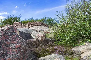 Rocky landscape of Bohusgranite and typical vegetation on the coast of Lysekil