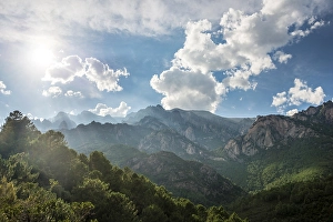 Rocky landscape, pine trees, cloudy sky
