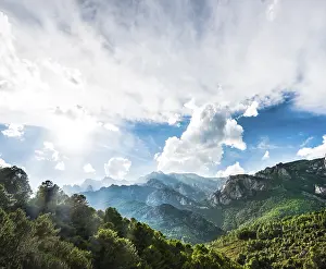 Rocky landscape with pines and cloudy sky