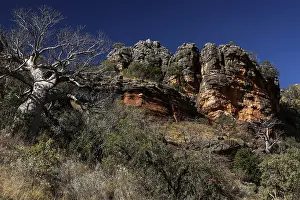 Rocky landscape with trees and distinctive rock formations in the King Leopold Range