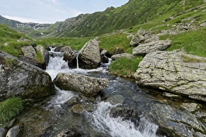 Rocky landscape at the upper course of the Balea stream in the Fagaras Mountains