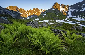 Rocky mountain peaks, landscape with ferns at Trollfjord Hytta