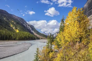 The Rocky Mountains. The picturesque valley in Jasper National Park