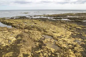 Rocky wave cut platform on coast