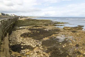 Rocky wave cut platform on coast